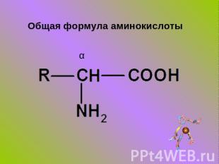 Общая формула аминокислоты