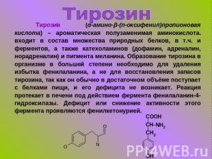 Тирозин Тирозин (α-амино-β-(п-оксифенил)пропионовая кислота) – ароматическая пол