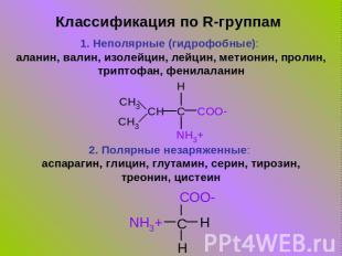 Классификация по R-группам 1. Неполярные (гидрофобные): аланин, валин, изолейцин