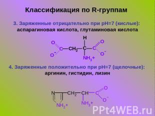 Классификация по R-группам 3. Заряженные отрицательно при pH=7 (кислые): аспараг