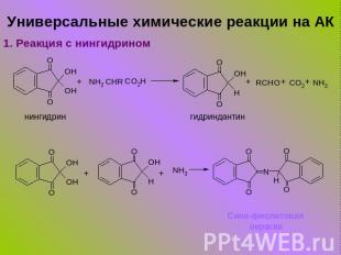 Универсальные химические реакции на АК нингидрин гидриндантин Сине-фиолетовая ок