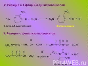 2. Реакция с 1-фтор-2,4-динитробензолом 1-фтор-2,4-динитробензол Желтая окраска