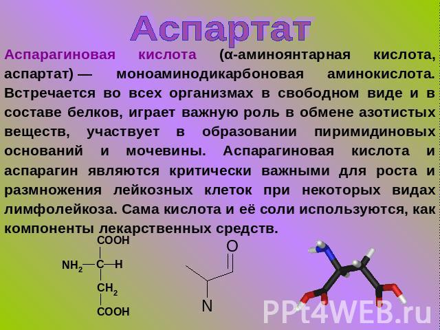 Аспартат Аспарагиновая кислота (α-аминоянтарная кислота, аспартат) — моноаминодикарбоновая аминокислота. Встречается во всех организмах в свободном виде и в составе белков, играет важную роль в обмене азотистых веществ, участвует в образовании пирим…