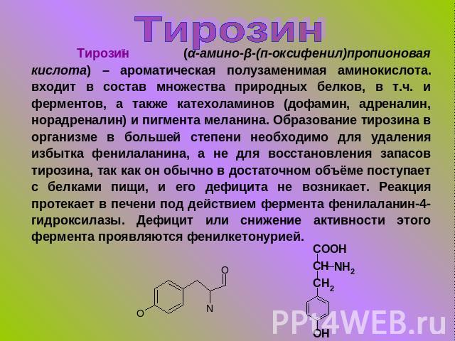 Тирозин Тирозин (α-амино-β-(п-оксифенил)пропионовая кислота) – ароматическая полузаменимая аминокислота. входит в состав множества природных белков, в т.ч. и ферментов, а также катехоламинов (дофамин, адреналин, норадреналин) и пигмента меланина. Об…