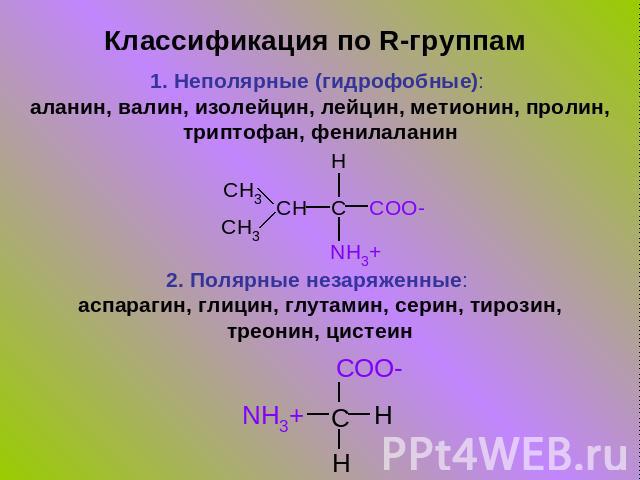 Классификация по R-группам 1. Неполярные (гидрофобные): аланин, валин, изолейцин, лейцин, метионин, пролин, триптофан, фенилаланин2. Полярные незаряженные: аспарагин, глицин, глутамин, серин, тирозин, треонин, цистеин