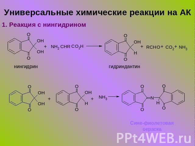 Универсальные химические реакции на АК нингидрин гидриндантин Сине-фиолетовая окраска