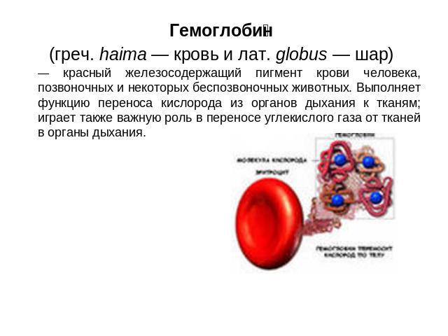 Гемоглобин (греч. haima — кровь и лат. globus — шар) — красный железосодержащий пигмент крови человека, позвоночных и некоторых беспозвоночных животных. Выполняет функцию переноса кислорода из органов дыхания к тканям; играет также важную роль в пер…