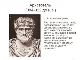 Аристотель (384-322 до н.э.) Аристотель учил:Растение – это животное, поставленн