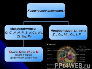 Химические элементы Макроэлементы O, C, H, N, P ,S, K,Ca, Na, Cl, Mg, Fe Микроэл