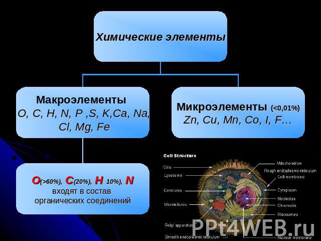 Химические элементы Макроэлементы O, C, H, N, P ,S, K,Ca, Na, Cl, Mg, Fe Микроэлементы (60%), C(20%), H 10%), Nвходят в состав органических соединений