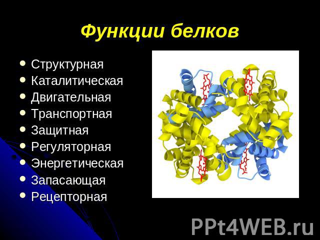 Функции белков СтруктурнаяКаталитическаяДвигательнаяТранспортнаяЗащитнаяРегуляторнаяЭнергетическаяЗапасающая Рецепторная