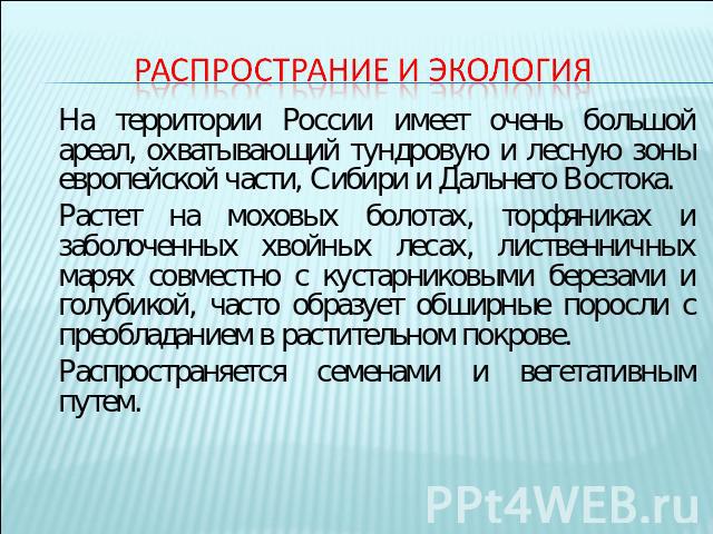 Распространие и экология На территории России имеет очень большой ареал, охватывающий тундровую и лесную зоны европейской части, Сибири и Дальнего Востока.Растет на моховых болотах, торфяниках и заболоченных хвойных лесах, лиственничных марях совмес…