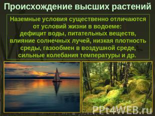 Происхождение высших растений Наземные условия существенно отличаются от условий