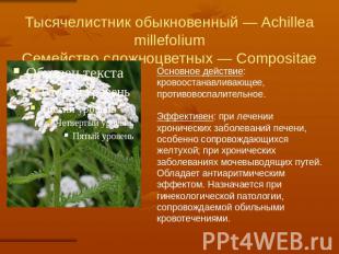 Тысячелистник обыкновенный — Achillea millefoliumСемейство сложноцветных — Compo