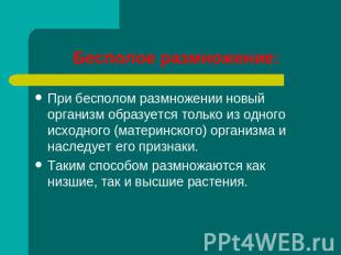 Бесполое размножение: При бесполом размножении новый организм образуется только