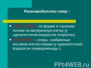 Разновидности спор : АВТОСПОРЫ - по форме и строению похожи на материнскую клетк