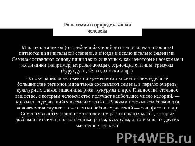 Роль семян в природе и жизни человека Многие организмы (от грибов и бактерий до птиц и млекопитающих) питаются в значительной степени, а иногда и исключительно семенами. Семена составляют основу пищи таких животных, как некоторые насекомые и их личи…