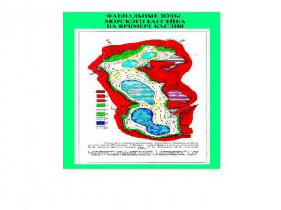 Зональность морского бассейна на примере Каспийского моря: 1-3 – суша, 4 – подво