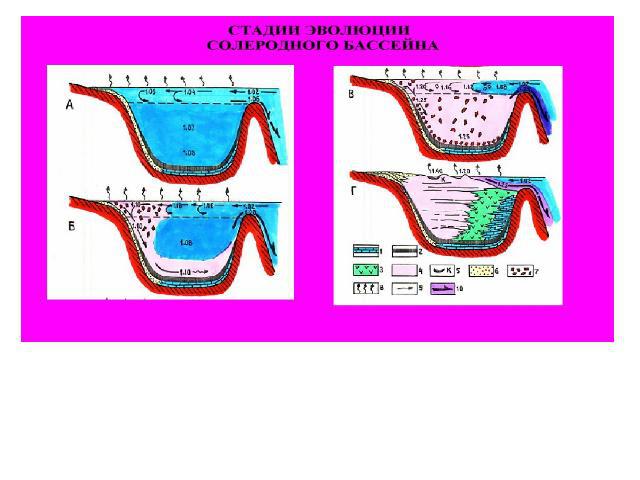 Четыре стадии развития солеродного бассейна: А – эвксинская, Б – эфемерная, В – собственно эвапоритовая, Г – заключительная, 1 – доломитизированные карбонаты, 2 – горючие сланцы, 3 – гипс, ангидрит, 4 – галит, 5 – калийные соли, 6 –песчаники, глины,…