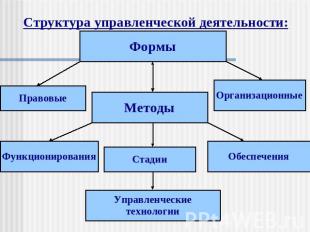 Структура управленческой деятельности: