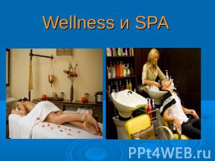 Wellness и SPA