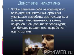 Действие никотина Чтобы защитить себя от чрезмерного возбуждения никотином, орга