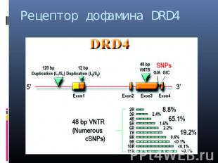 Рецептор дофамина DRD4