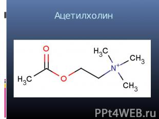 Ацетилхолин