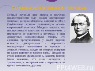 Основы менделевкой генетики Первый научный шаг вперед в изучении наследственност