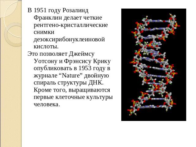 В 1951 году Розалинд Франклин делает четкие рентгено-кристаллические снимки дезоксирибонуклеиновой кислоты. Это позволяет Джеймсу Уотсону и Фрэнсису Крику опубликовать в 1953 году в журнале “Nature” двойную спираль структуры ДНК. Кроме того, выращив…