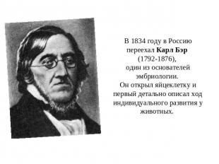 В 1834 году в Россию переехал Карл Бэр (1792-1876), один из основателей эмбриоло