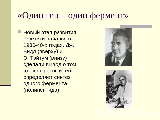 «Один ген – один фермент» Новый этап развития генетики начался в 1930-40-х годах. Дж. Бидл (вверху) и Э. Тэйтум (внизу) сделали вывод о том, что конкретный ген определяет синтез одного фермента (полипептида)