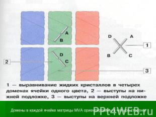 Домены в каждой ячейке матрицы MVA ориентированы в четыре стороны