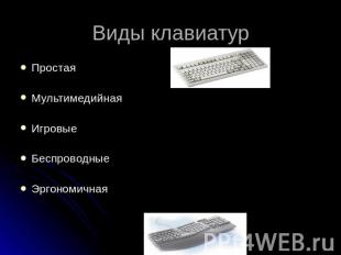 Виды клавиатур ПростаяМультимедийнаяИгровыеБеспроводныеЭргономичная