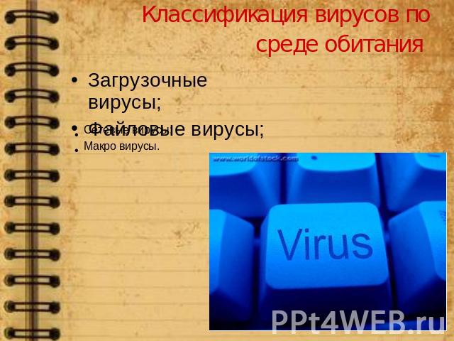 Классификация вирусов по среде обитания Загрузочные вирусы;Файловые вирусы; Сетевые вирусы;Макро вирусы.