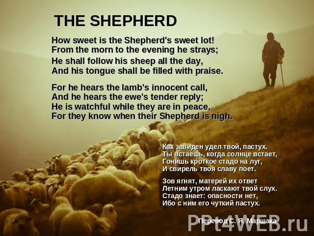 THE SHEPHERD How sweet is the Shepherd's sweet lot!From the morn to the evening he strays;He shall follow his sheep all the day,And his tongue shall be filled with praise.For he hears the lamb's innocent call, And he hears the ewe's tender reply;He …