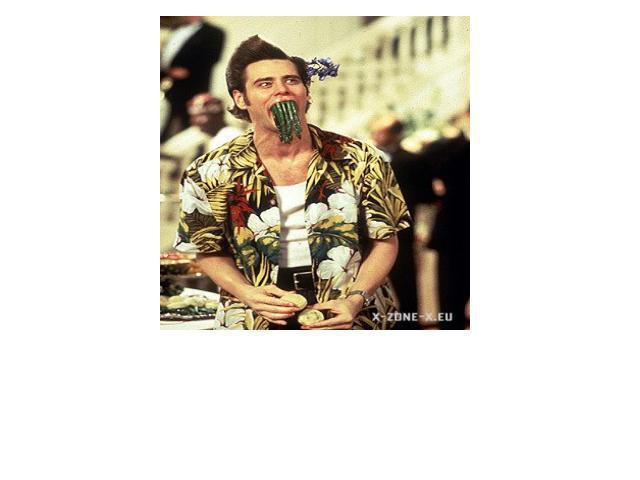 Having had little success in television movies and several low-budget films, Carrey was cast as the title character in Ace Ventura: Pet Detective which premiered in February, 1994, making more than $72 million domestically despite receiving mixed cr…