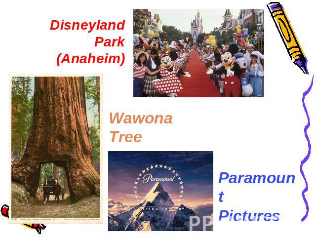 Disneyland Park(Anaheim) WawonaTree ParamountPictures
