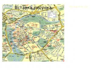 The map of the city