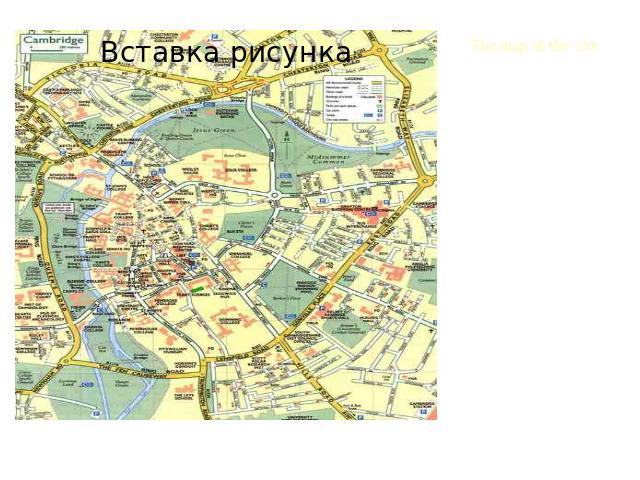The map of the city