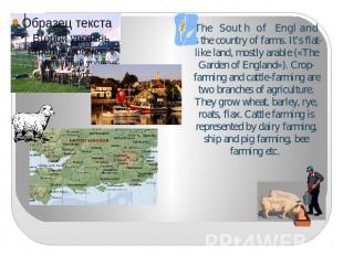 The South of England is the country of farms. It’s flat-like land, mostly arable