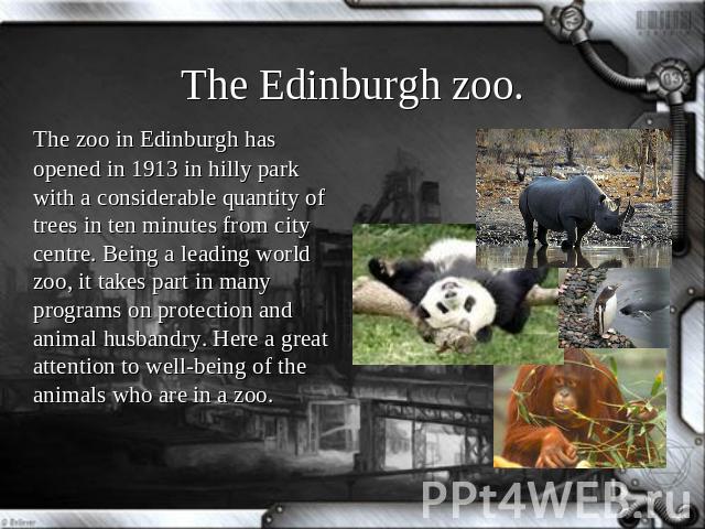 The Edinburgh zoo. The zoo in Edinburgh has opened in 1913 in hilly park with a considerable quantity of trees in ten minutes from city centre. Being a leading world zoo, it takes part in many programs on protection and animal husbandry. Here a grea…