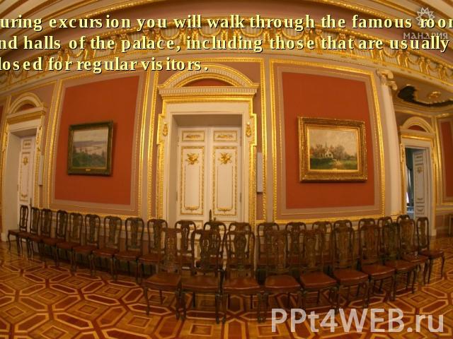 During excursion you will walk through the famous rooms and halls of the palace, including those that are usually closed for regular visitors.