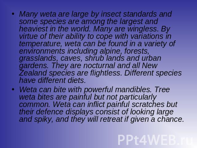 Many weta are large by insect standards and some species are among the largest and heaviest in the world. Many are wingless. By virtue of their ability to cope with variations in temperature, weta can be found in a variety of environments including …