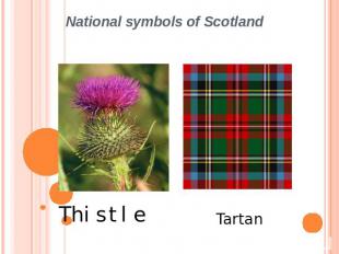 National symbols of Scotland Thistle Tartan