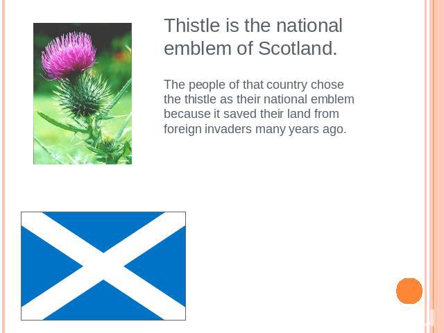 Thistle is the national emblem of Scotland.The people of that country chose the thistle as their national emblem because it saved their land from foreign invaders many years ago.
