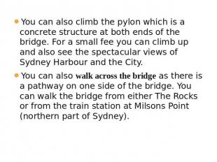 You can also climb the pylon which is a concrete structure at both ends of the b