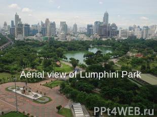 Aerial view of Lumphini Park