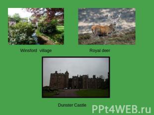 Winsford village Royal deer  Dunster Castle 