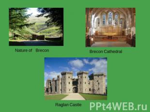 Nature of Brecon Brecon Cathedral Raglan Castle